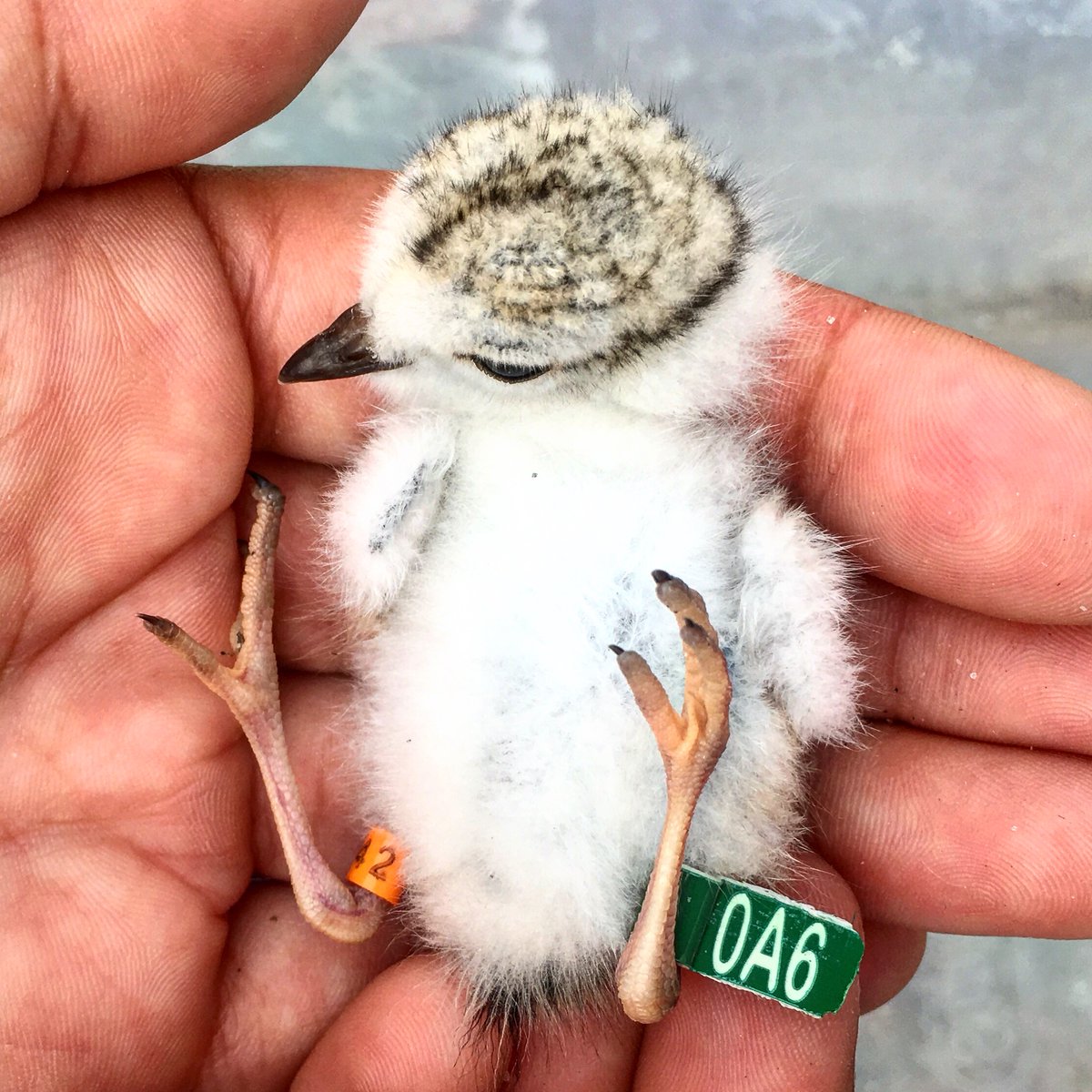 Katie Walker tweet media