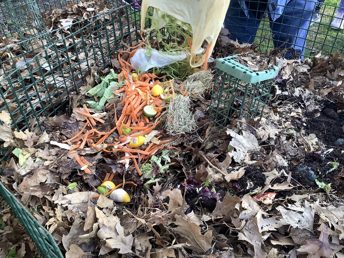 Awilkdce's tweet image. @DCEtrailblazers Trail Days Garden Club getting all the do’s and dont’s from Master Gardener Larry Thompson about composting. Getting a little help from our @DCEPTO Dad’s Club as well. It’s serious business. @kstruckDCE @BrownDCE