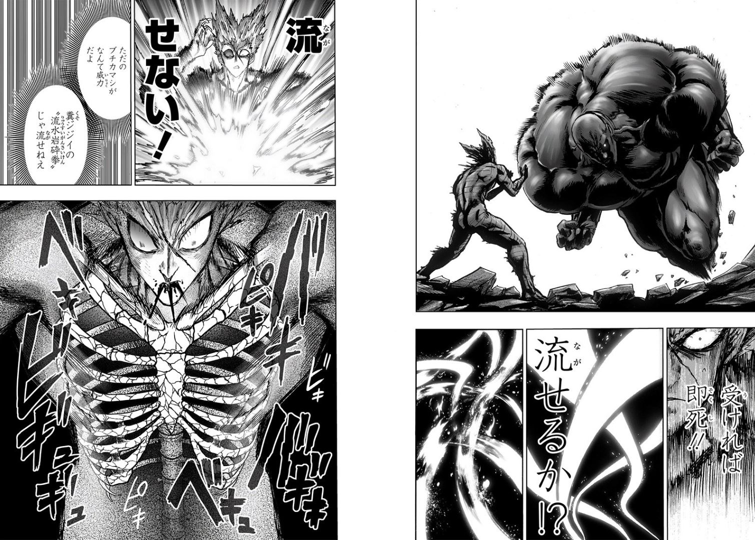 Garou vs Darkshine