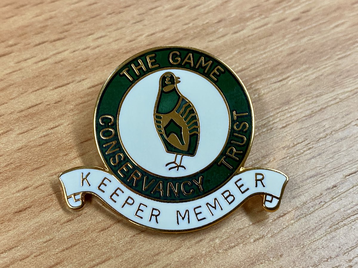 📢 Available now on eBay - an original vintage Game Conservancy Trust Keeper Members Badge. Bid now: 

➡️ ebay.co.uk/itm/2545023986…