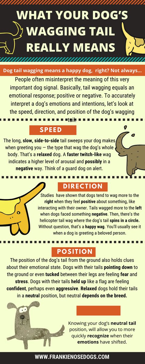 FrankieNoseDogs's tweet image. How well do you know your dog’s moods? #doglanguage #dogbehavior #puppylife