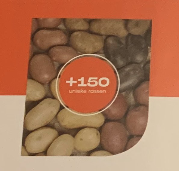 HelmaLodders's tweet photo. In gesprek met @HZPC in Joure. 150 verschillende aardappelrassen die wereldwijd bijdragen aan de voedselvoorziening #innovatie #duurzaamheid #research @aukjedevries https://t.co/ySsmfCO3sh