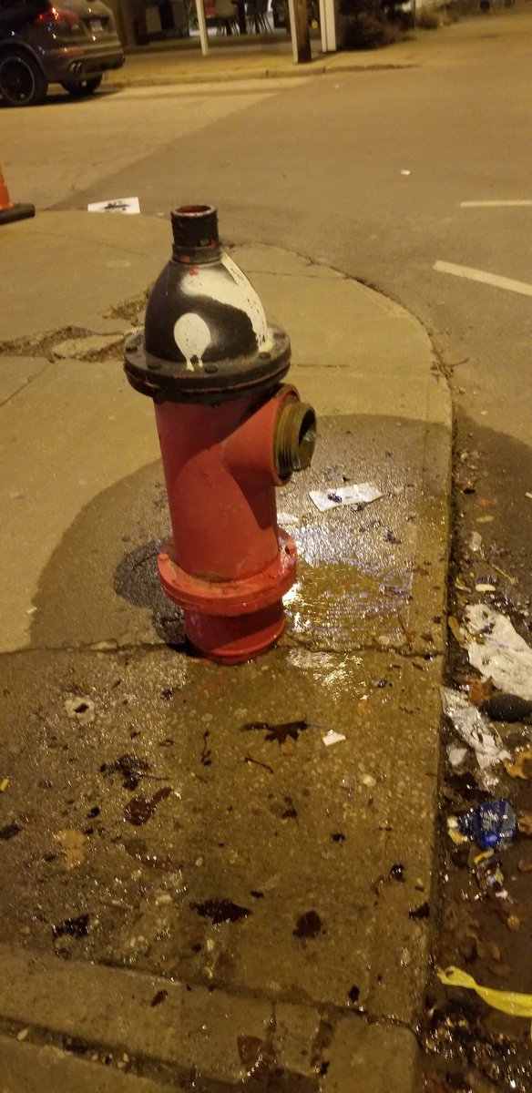 Sara Theurer tweet media