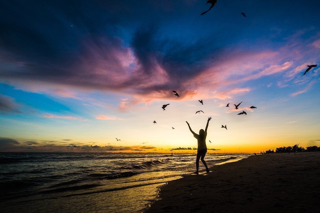 Anna Maria Vacations tweet media