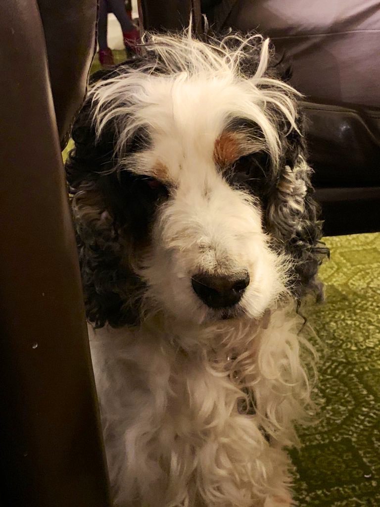 julesserkin's tweet photo. @SoundofSpitfire @The_Grand_RR @Ken_W_Lloyd @GSerkin @_LorraineW @TheMSolution @Salon123HB @ChannelRadio2 @KenHerron @PeterAllen1969 @colinonwine @stuentertains @NewMarketsMedia @sally_laker You’re always welcome 1st Friday of the month https://t.co/UXnXSEQygv