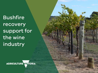 Agriculture Victoria tweet media