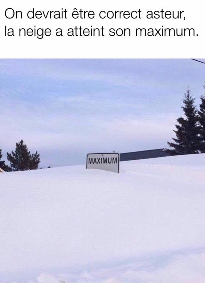 Restigouche COMETeS du Restigouche tweet media