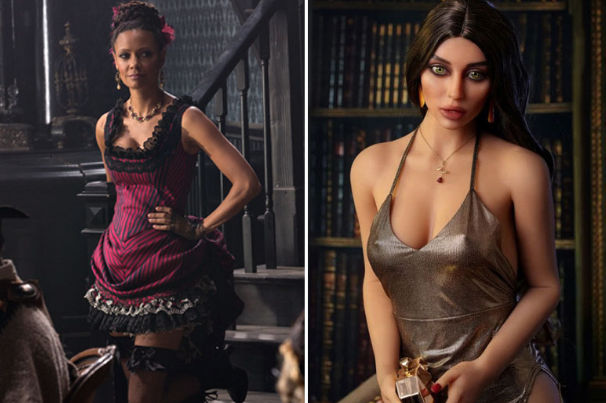 Real-life Westworld brothel using sex robots set for release  https://t.co/MNt15Y8YRe