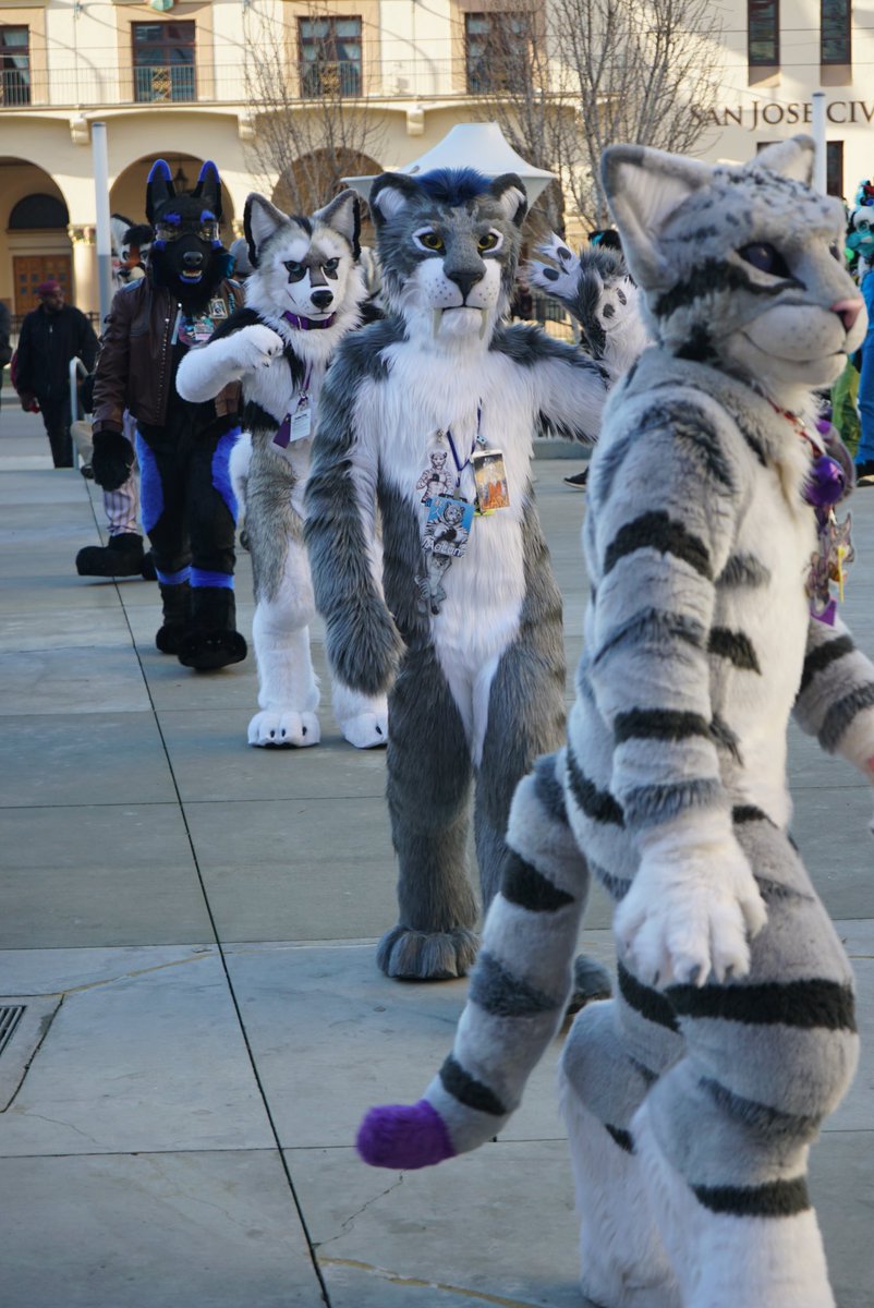Pup_Leo's tweet photo. - Roll’n 4 deep with @AoLun8, @WolfTera_, and @ProfBeast at the #FC2020 parade.  🐕🐕🐈🐈#FursuitFriday #FancyBeastFriday 

📷Lance Ikegawa. https://t.co/rlZ7v8JvqV thank you for the pictures! https://t.co/QQVEDAHNrt