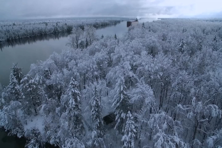 KennethJS's tweet image. Er dette en korrekt observasjon?
Bruk av kameradrone over skog i introscener:
Film = 60 %
True crime = 95 %