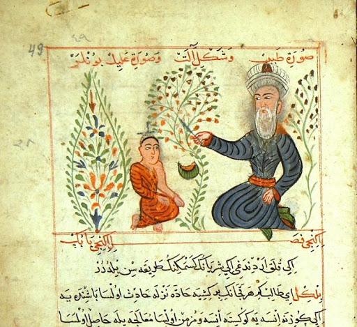 Sayyed Esmāʿil Jorjāni (b. Gorgān, 1043-44?; d. Marv, 1136-37) Tajik physician who served two Khwarazmshahs Qoṭb-al-Din Moḥammad and his son ʿAlāʾ-al-Din. For the former he composed his Ḏaḵira-ye ḵᵛārazamšāhi, the largest encyclopedia of Galenic medicine in Persian.