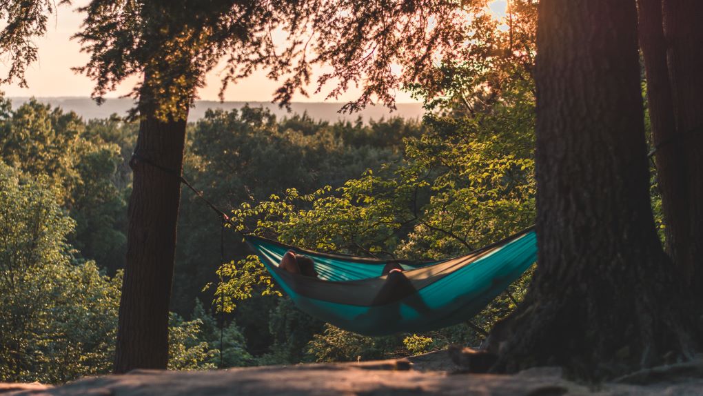BackpackingTips's tweet image. New review for backpacking hammocks! Find yours at backpacking-tips.com/reviews/review…
#backpacking #hiking #hammock #review #gear #tent #sleeping #backpackingtips