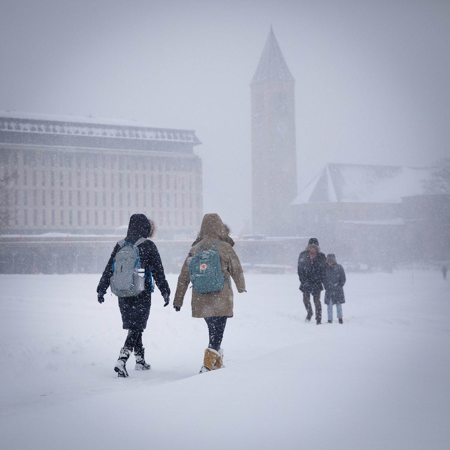 Cornell University on Twitter: " ️ The National Weather Service has