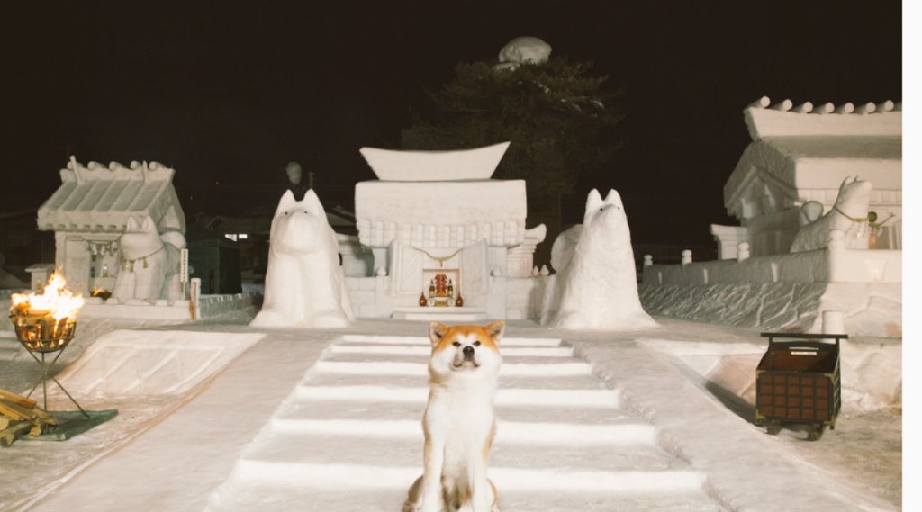 犬っこ祭り