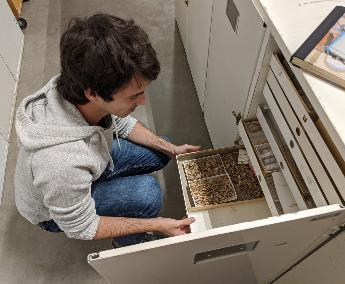 Bloch Lab @UF (@blochlab) on Twitter photo <a href="/FloridaMuseum/">Florida Museum</a> <a href="/jibloch/">Jonathan I. Bloch</a> <a href="/DrScanley/">Ed Stanley</a> <a href="/renarducci/">Rachel Narducci</a> <a href="/ManyTinyTeeth/">Mitchell Riegler</a> @PaleoPirlo <a href="/zigthehuman/">Michael Ziegler</a> We jumped in the van and raced to the offsite storage. We began looking earnestly through Jamaican specimen cabinets until… “We found it” from team frog. <a href="/FloridaMuseum/">Florida Museum</a> <a href="/jibloch/">Jonathan I. Bloch</a> <a href="/DrScanley/">Ed Stanley</a> <a href="/renarducci/">Rachel Narducci</a> <a href="/ManyTinyTeeth/">Mitchell Riegler</a> @PaleoPirlo <a href="/zigthehuman/">Michael Ziegler</a> We jumped in the van and raced to the offsite storage. We began looking earnestly through Jamaican specimen cabinets until… “We found it” from team frog.