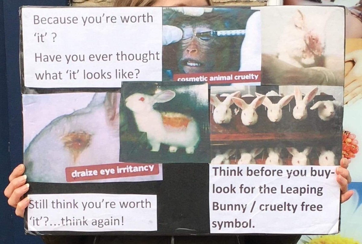 SuffolkActivism's tweet photo. Last Sunday we were in Bury St. Edmunds for our anti #vivisection demo, to expose this industry and highlight the importance of not buying products that have been tested on animals. We reached plenty of people https://t.co/1i8Zf23fTX