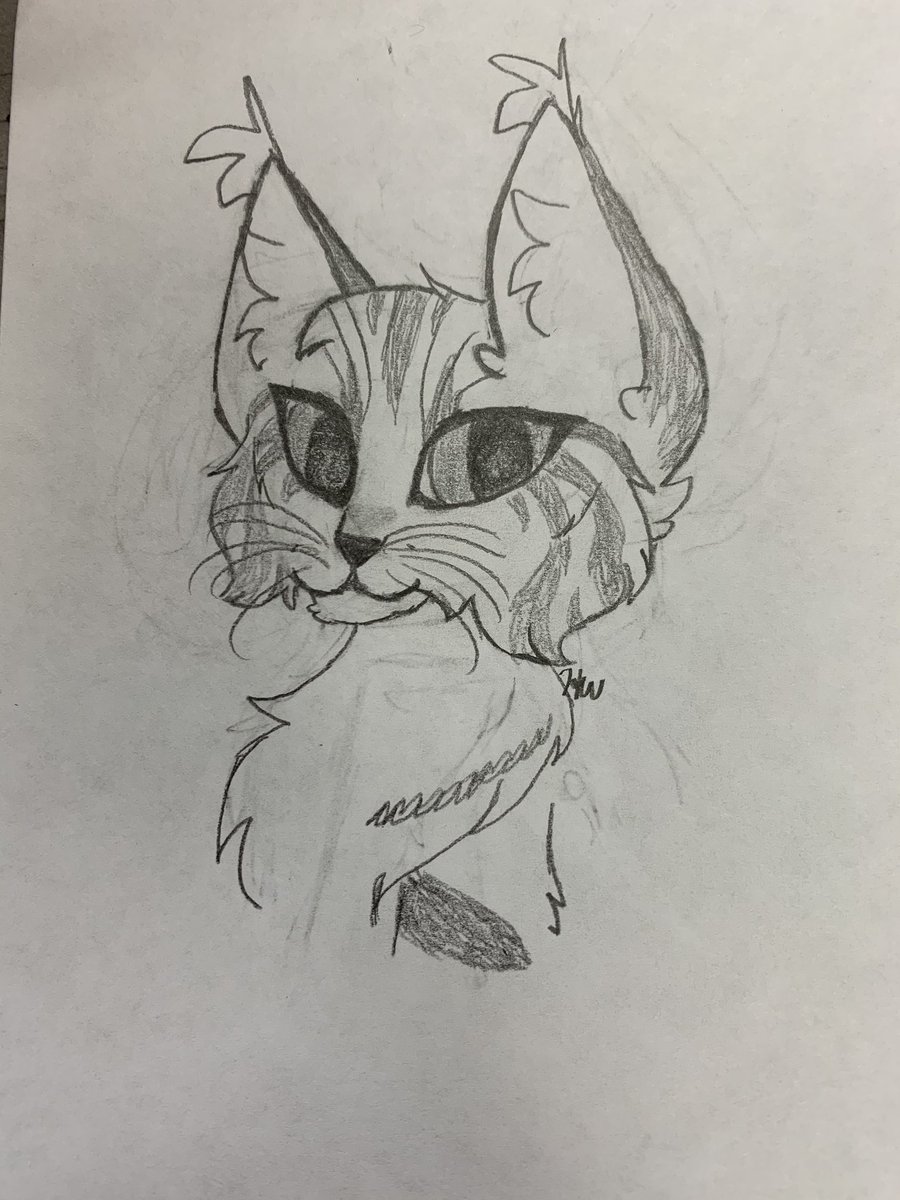 featherdeadtail's tweet image. this looks like shit but i tried drawing myself! i tried a different art style which probably threw it off but oh well enjoy :)))