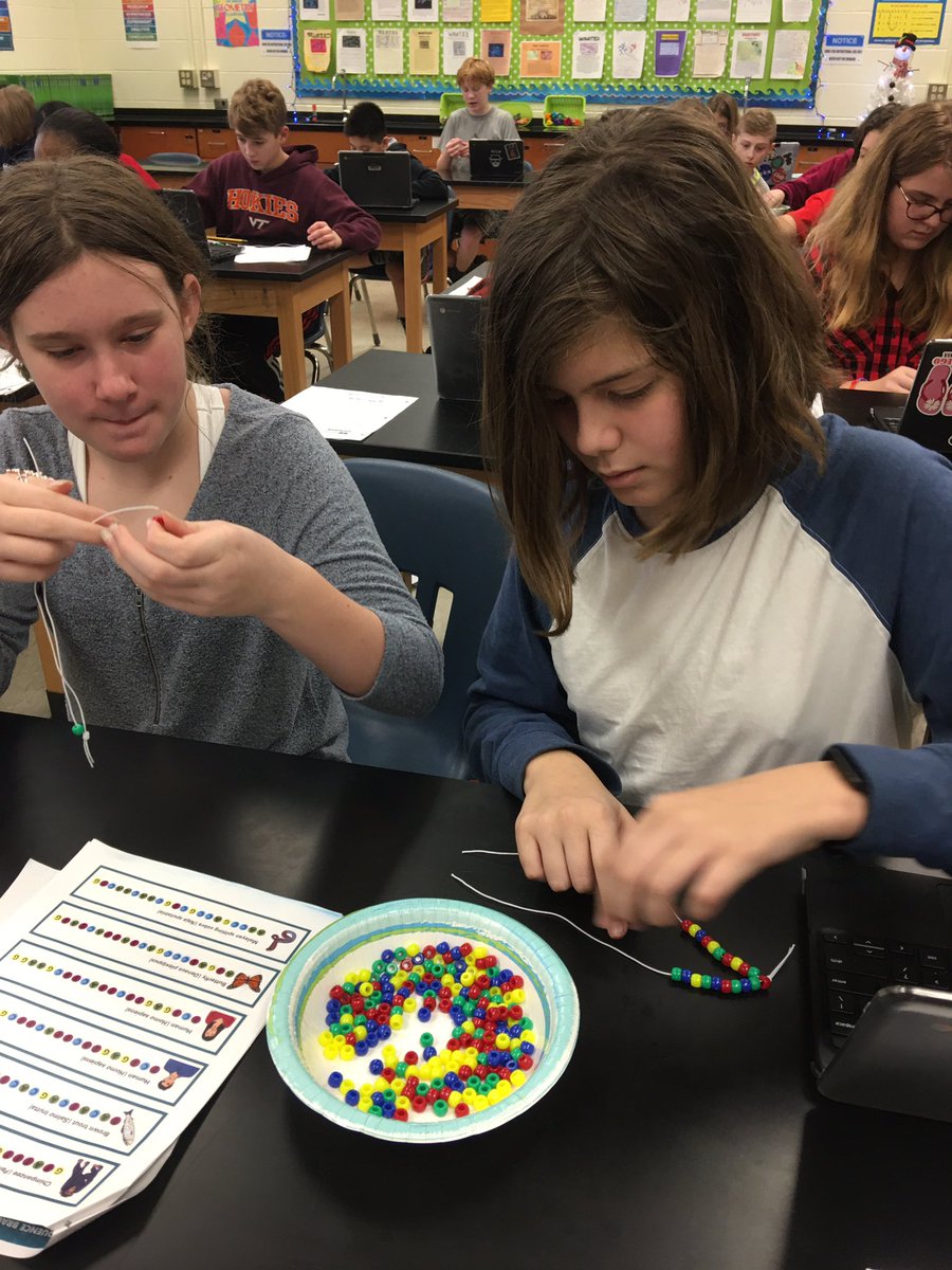 TFantell's tweet photo. We had fun on this windy Friday by making DNA sequence bracelets. Ss used beads to represent the chemical bases of DNA and paired them up to show the genetic code for an organism’s  trait.  @SCM_Principal #CBGacademies https://t.co/Wr2zZaXl4H