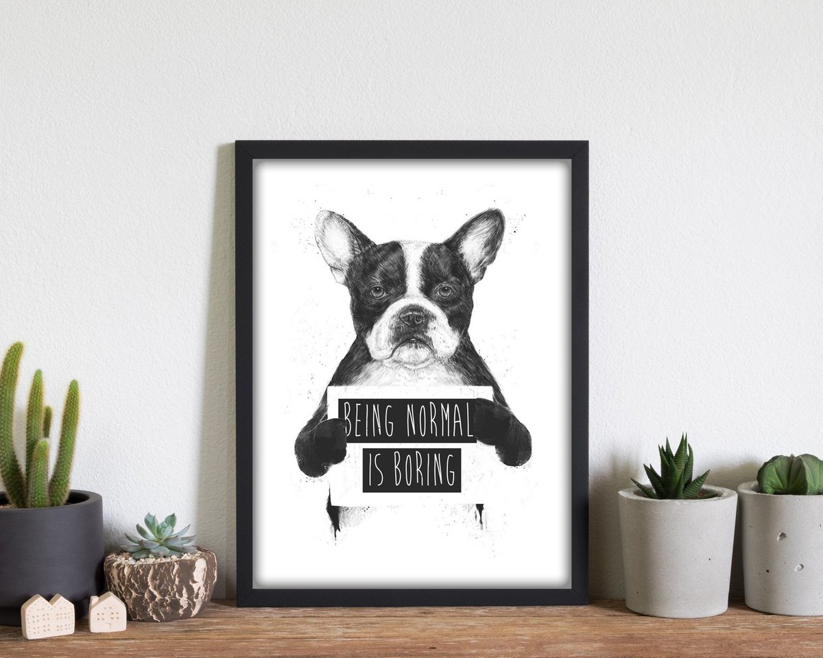 We couldn't agree more!

Find your furry friend in our animal prints range athenaart.com/wall-art/anima…

#animalartprints #animalart #posters #prints #AthenaArt #ValentinesGifts #giftideas #homedecor #bedroomart #artforsale