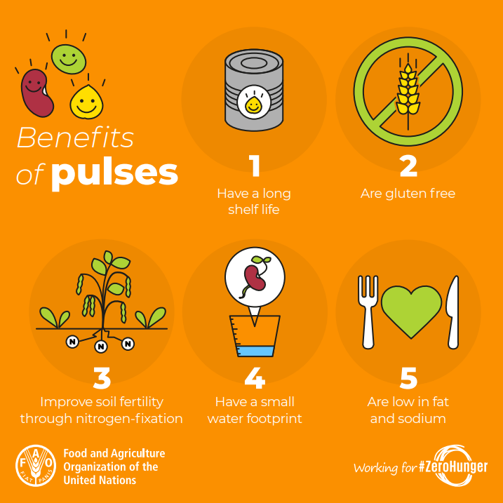 UN's tweet photo. Pulses are...
🧂 low in sodium
🌱a great source of plant-based protein
💪a good source of iron

Monday is #WorldPulsesDay. More about the benefits of pulses: https://t.co/iSN8YXDJGs https://t.co/UF5WvNES7e