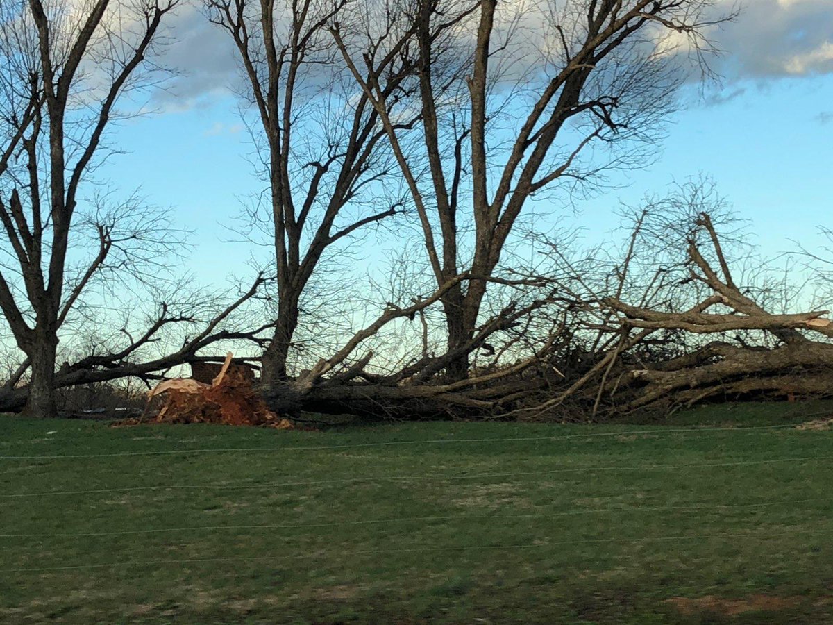 RepRichHudson's tweet photo. Seeing scenes like this across the district. Luckily our yard only had some limbs down, but a house one street over had a tree fall across the yard. Very scary and luckily more people weren't hurt. #ncwx #severewx #severeweather https://t.co/EJTmbMV9EL