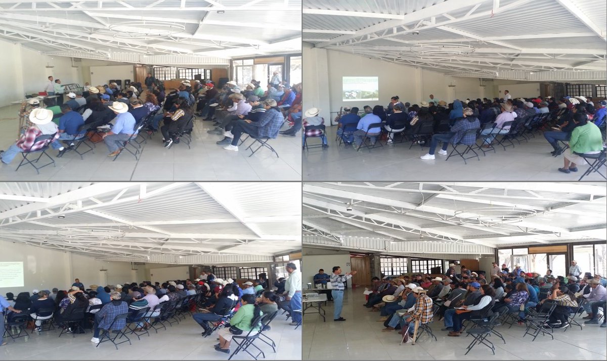 DDR06_HGO's tweet photo. CAPACITACIÓN CON PRODUCTORES DE MPIOS DE ZIMAPAN Y PACULA EN RELACIÓN A ACCIONES PREVENTIVAS CONTRA LA PLAGA DEL CHAPULÍN Y SU CONTROL CON PRODUCTOS BIOLÓGICOS, ASÍ TAMBIÉN SOBRE EL MEJORAMIENTO PRODUCTIVO DEL SUELO A BASE DE PRODUCTOS ORGÁNICOS. #CESAVEH #Fertilex #SADER https://t.co/wI4DSh79Vd