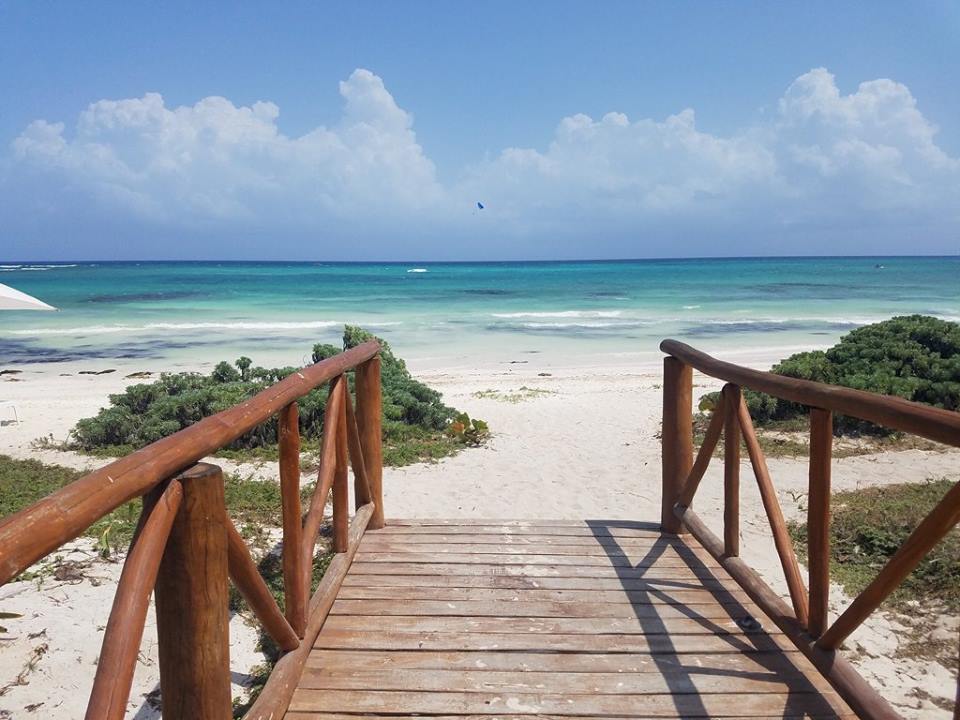 TwoHeartsErika's tweet photo. Consider yourself a foodie? Adult-only, all-inclusive @UNICO2087 Hotel Riviera Maya is the place for you! For limited time, earn 20,000 AA miles when you book your trip with me. Travel now through 12/20/20, only $200pp deposit for flight+hotel, final due 45 days prior to travel. https://t.co/74tCSMZ8dY