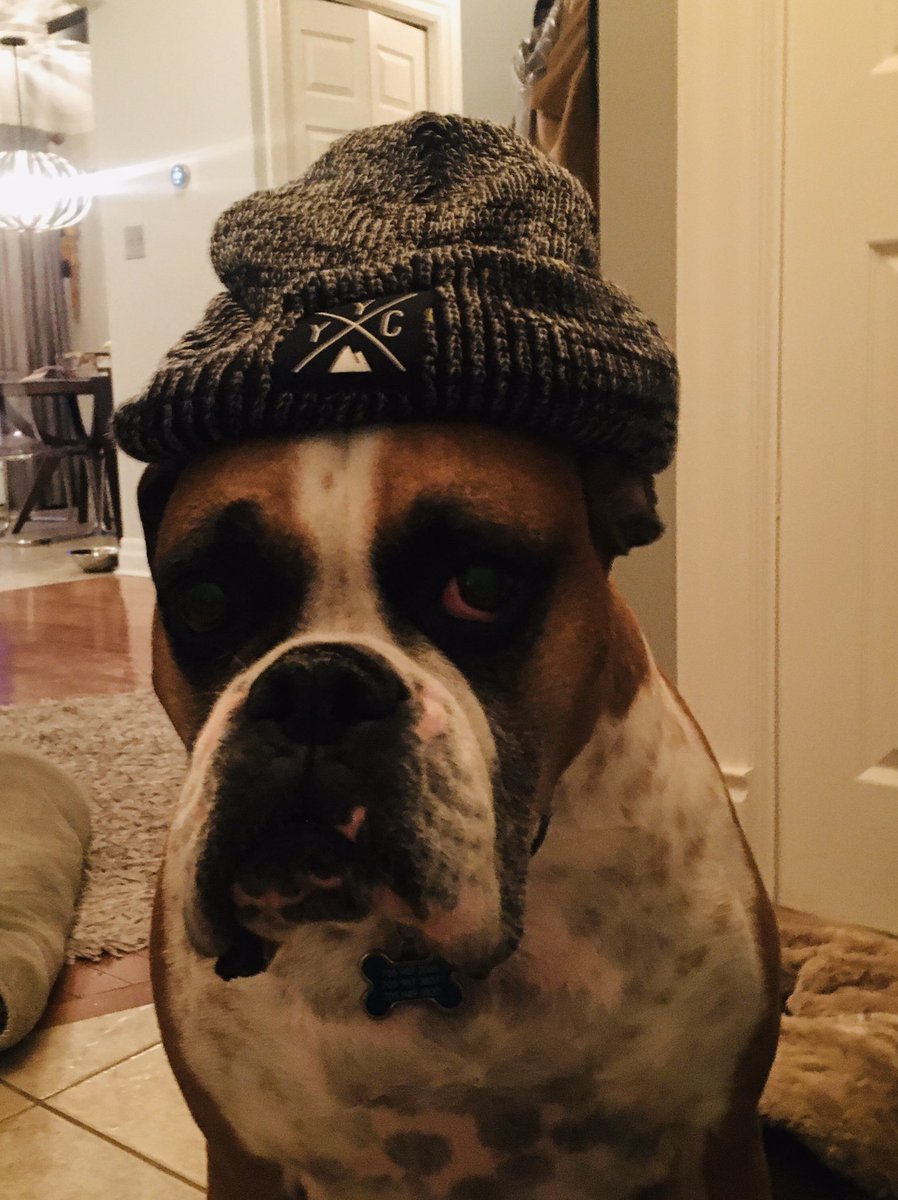 Vicki Zeppa tweet media