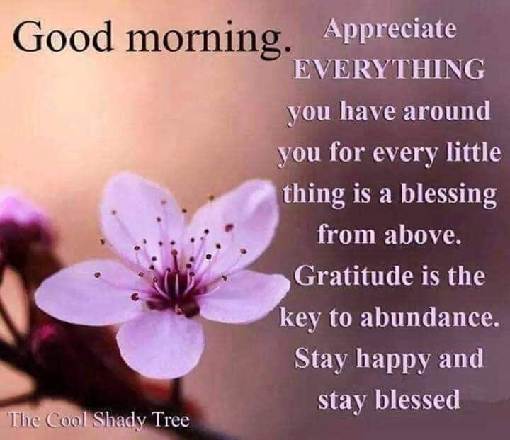 ranigill7's tweet photo. #GREAT!!! FRESH DAY FRIENDS , #HAPPY  MORNING  AMAZING!!! 🌻🌹🌻🌹🌻🌹 FRIENDS , #GBU ALL #THOUGHT @VandanaSharm  @jojoawana @Harjitk32610245 @kauserseema @pari25tri  @Pinkysmile24 @Surekhas159  @RubyKha09925269  @TweetyVerma  @ShwetaMittal20  CHEERS https://t.co/jkGxzqHcnN