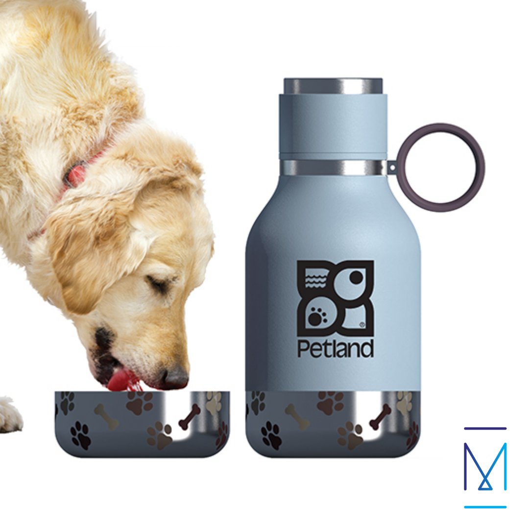 Bouteille pour toutou et maître! Personnalisable avec votre logo. 
Pour en savoir plus, contactez-nous à: info@lesimprimesm.com⠀⠀⠀
#imprimerie #impression #projet #lesimprimesm #projetimprimesm #printing #print #gifts #pet #adoptdontshop #office #dog #bottle