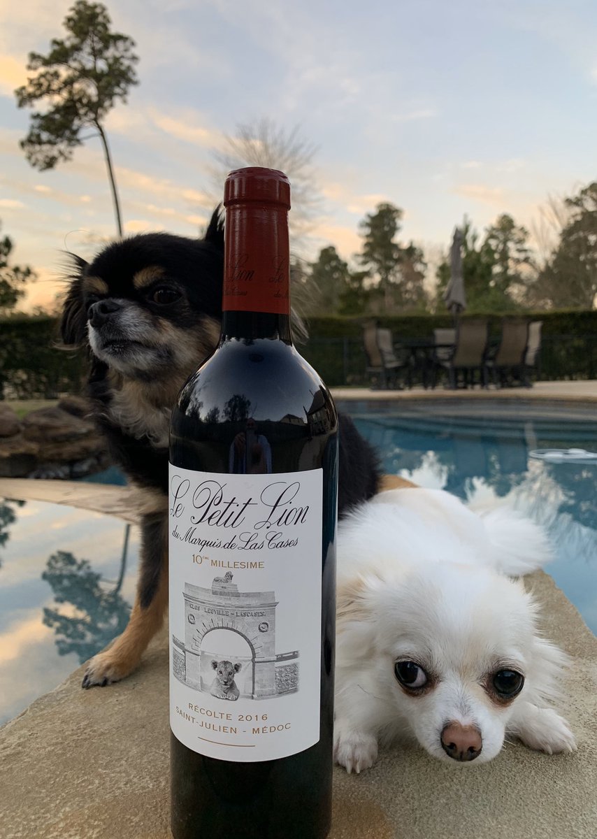 Friday evening and the pups pulled the 2016 #LePetitLion. Out of the bottle I am surprisingly enjoying this wine.  #LeovilleLasCases #StJulien #Bordeaux 
#DogSomm #PuppySomm