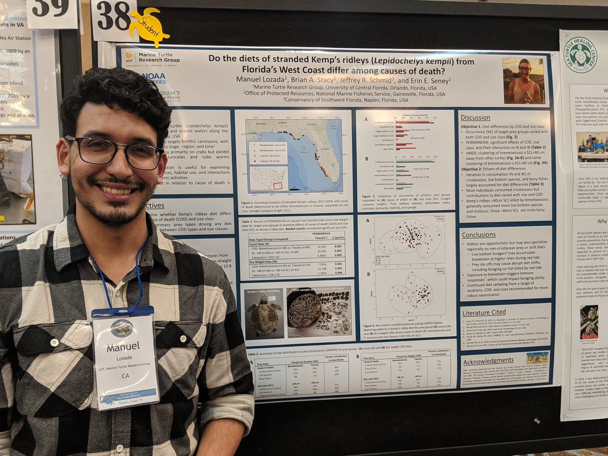 erin_seney's tweet image. We had two #UCFTurtleLab student presenters at #SERSTM2020, former undergrad intern Manny and PhD student @TiffDtheTurtle! They both did a great job with their posters and received good feedback from other meeting attendees.