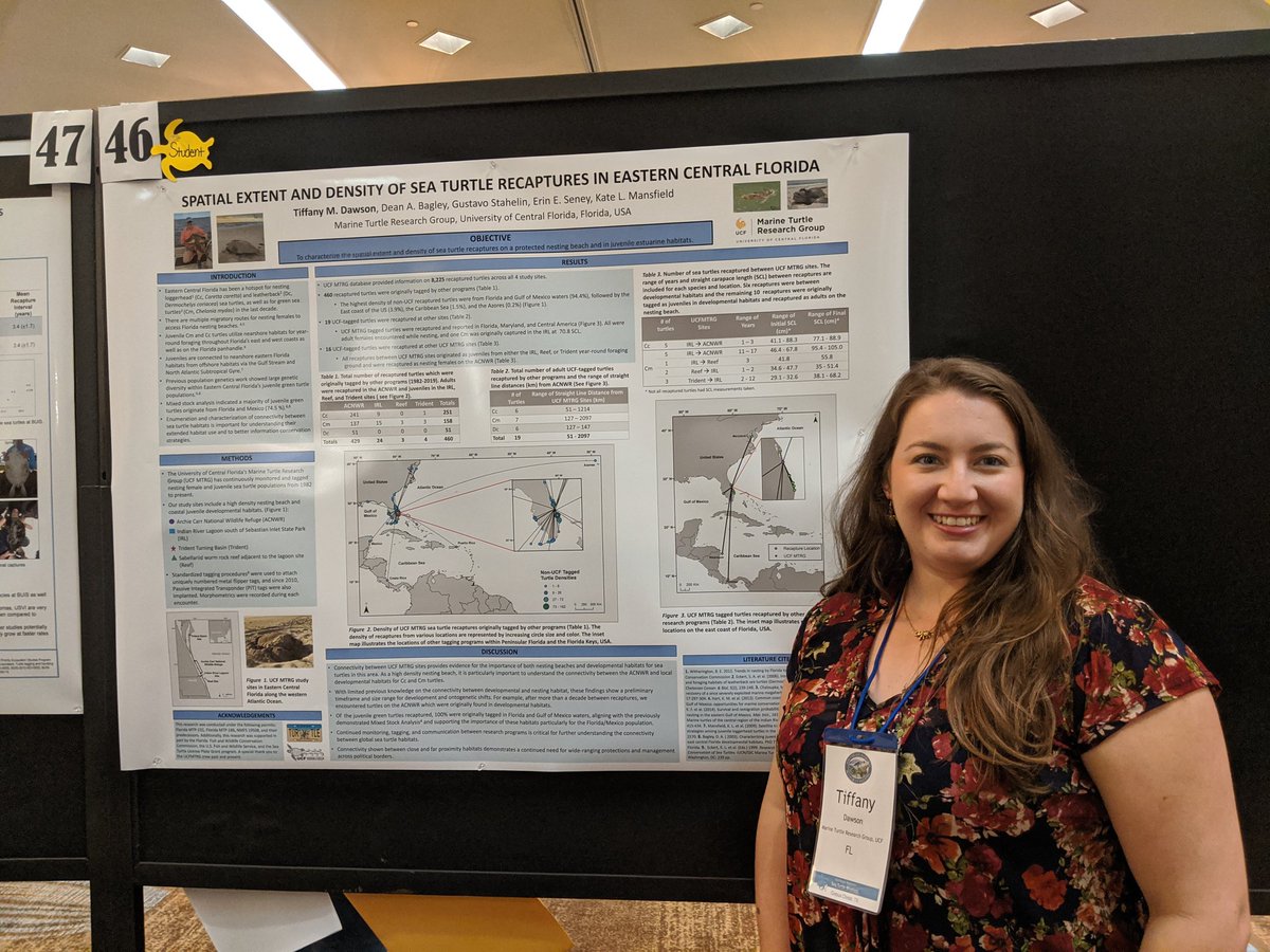 erin_seney's tweet image. We had two #UCFTurtleLab student presenters at #SERSTM2020, former undergrad intern Manny and PhD student @TiffDtheTurtle! They both did a great job with their posters and received good feedback from other meeting attendees.