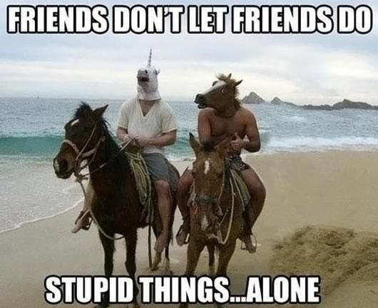 Two of my closest friends in Mexico riding horses while wearing a horse mask and unicorn mask.