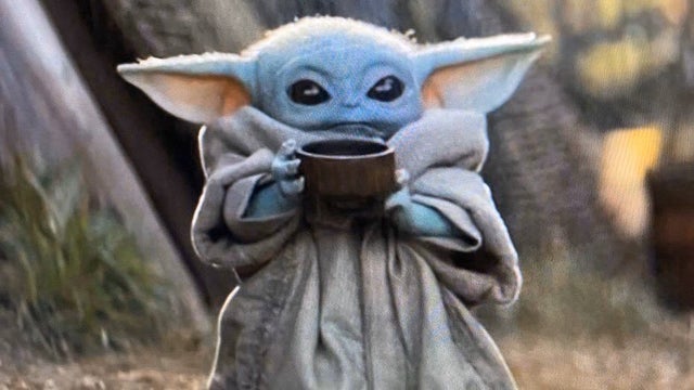 jchorner88's tweet photo. Gizmo walked so Baby Yoda could run https://t.co/0IwfnvOvDK