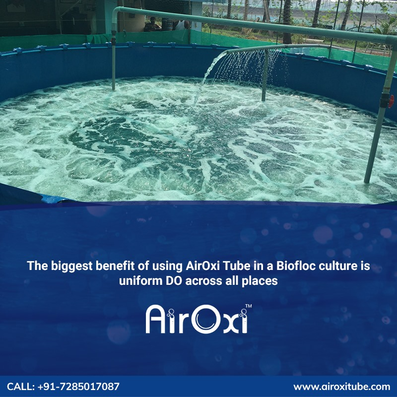 airoxitube's tweet photo. Looking for an aeration solution for your Biofloc culture?
Call: +91 7285017087 or visit: https://t.co/dum29y4yhW
#biofloc #BioflocCulture #aerationsolution #Aquaculture https://t.co/aFmEjunAiq