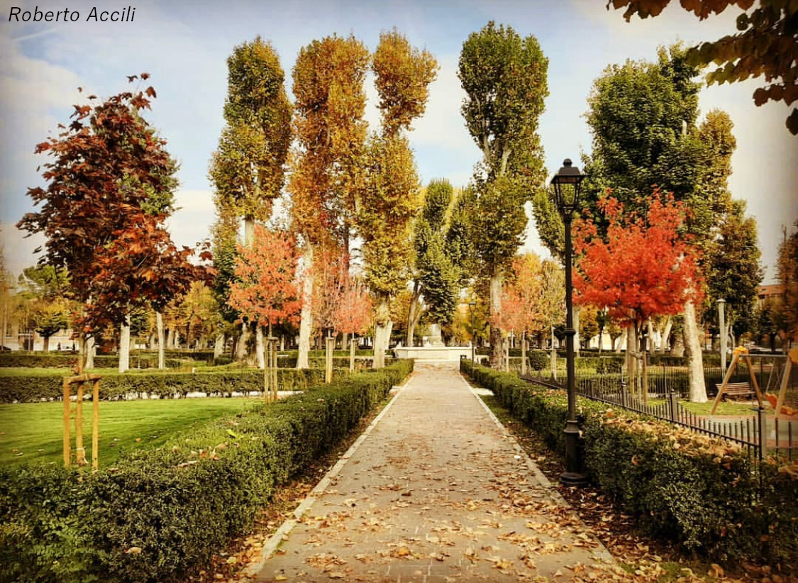 StradadeiParchi's tweet photo. Forse non tutti sanno che
#AVEZZANO, capitale simbolica della #Marsica, è stata decorata con la medaglia d'argento al merito civile avendo subito nel 1944, pochi anni dopo il sisma del 1915, gravi danni a causa dei bombardamenti. https://t.co/Z7kKSJqng0