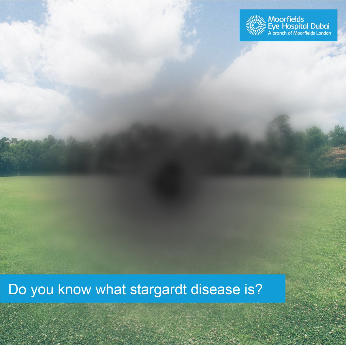 MoorfieldsUAE's tweet photo. #Stargardtdisease is the most common form of #maculardystrophy. Its common symptoms are reduced #visualacuity or difficulty in reading.
Moorfields Dubai offers comprehensive #genetic eye disease services and counselling.
To book an appointment, π 0097144297888.
#eyecare https://t.co/oaDfMZD4pO
