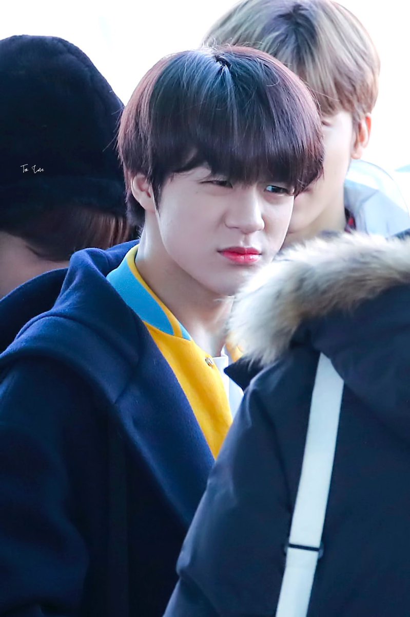 ˗ˏˋ (●´⌓`●) ˊˎ˗ tweet media