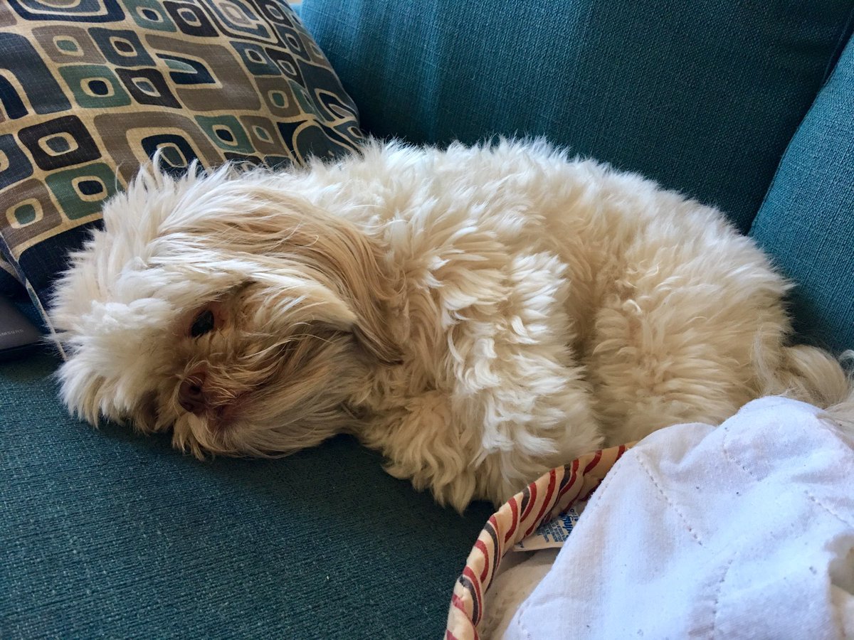 i   l o n g 4
        wut i cant     hav