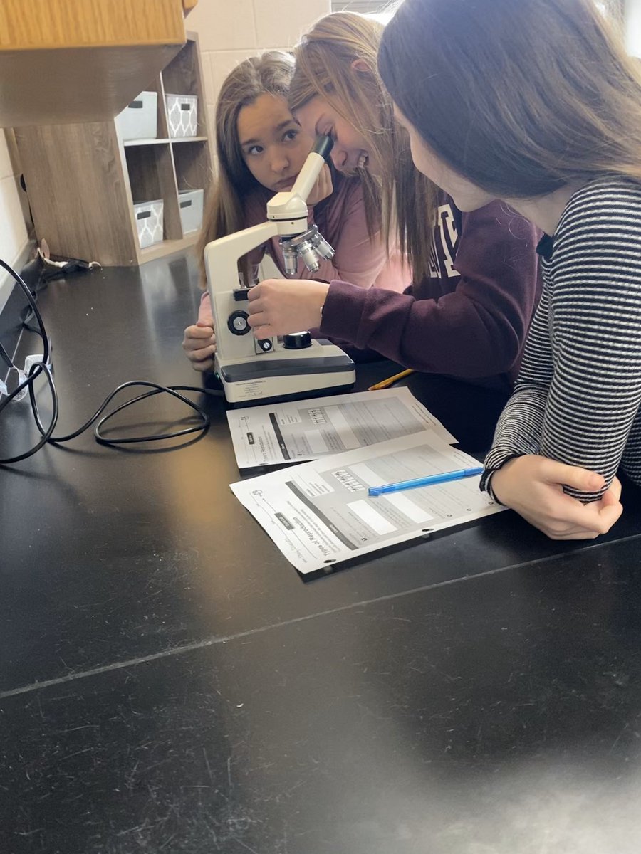 EMS_8_Science's tweet photo. A quick look into 8th grade science today!  I was actually able to get a good picture of the #BuddingHydra through the microscope with my phone! #8thGradeScience @EMSroyals https://t.co/bLgaplLbrD