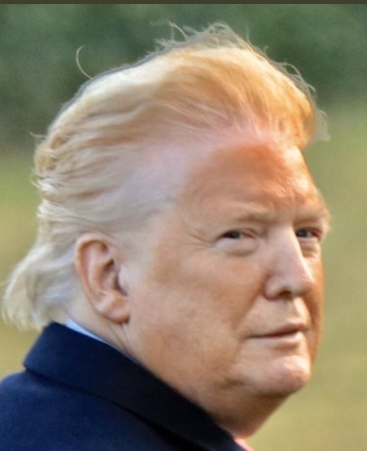 I'm sure <a href="/realDonaldTrump/">Donald J. Trump</a> would really hate it if we all tweeted this pathetic photo around for the next few days.