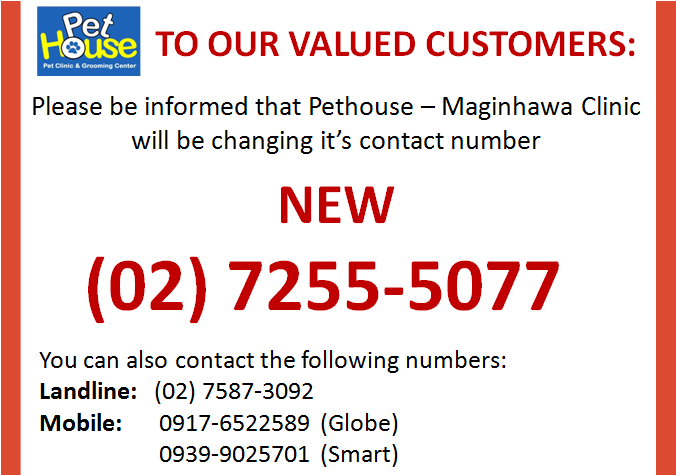 pet house maginhawa