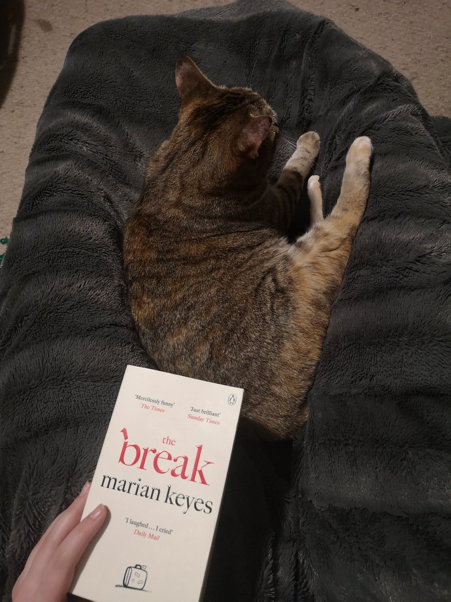 This book was worth the length! I went on an emotional ride. It took me a bit to get into it, but once I got further in it grabbed me  I want to read more by this author nowThe Break by Marian Keyes 