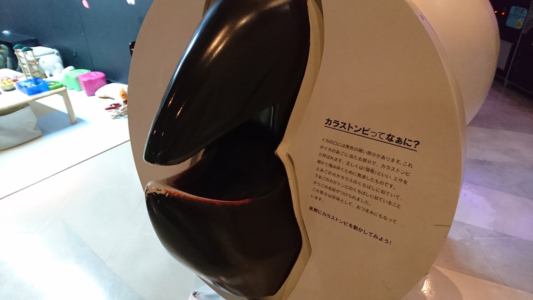 わたいきっ イカの口とイカの目 マリエント わたいきっ イカの口とイカの目 マリエント