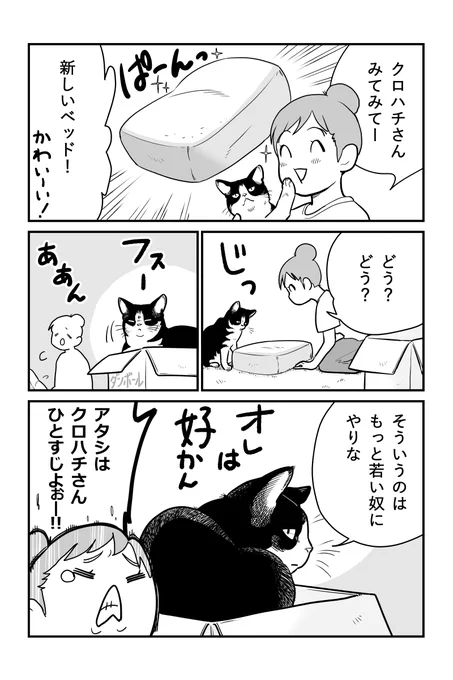 ねこレンタルサービス
2-3 