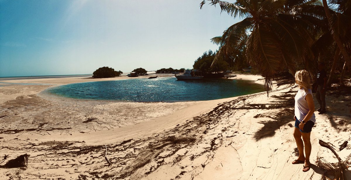 iamterryevans's tweet photo. The Blue Holes of South Andros, Bahamas🇧🇸 . #MarsBay @caerulamar #islandofbryan
•
•
•
•
#bahamas #travelbahamas
#caerulamar #southandros
#wanderlust #travel
#explore #discover
#sunshine #bluewater
#islands #luxuryresort
#boutiqueresort #paradise
#beach #beachbum #sand https://t.co/OT6nqIqhUa
