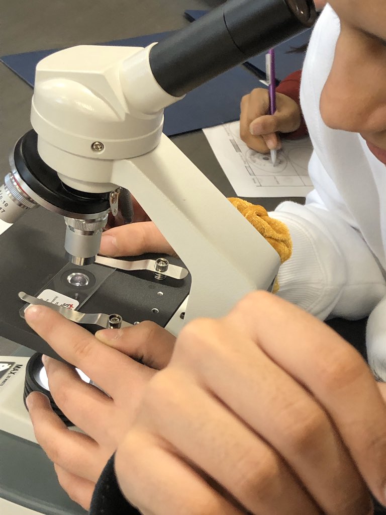 Grade 7’s at <a href="/DesmondHDSB/">Viola Desmond Public School</a> explored microscopes today! Ss loved collaborating with the whole grade 7 team while making inquiries about their observations. Thank you <a href="/marchioneem/">Michael Marchione</a> for being so flexible with your space! #coplan #coteach #team <a href="/ms_emilyhorner/">Emily Horner</a> <a href="/SarahFulmer9/">Sarah Fulmer</a> <a href="/EtmanskiD/">D. Etmanski</a>