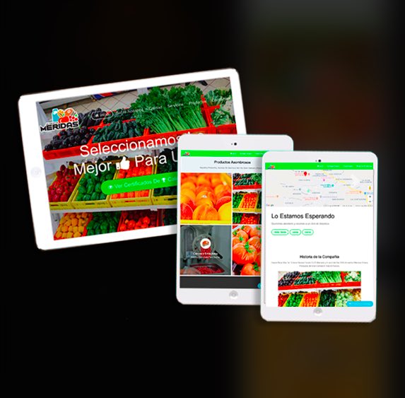 MisaelLandero's tweet image. Un poco del trabajo que hago como desarrollador web demos.landercorp.mx/alimentosmerid… #webdev #jquerydev #phpdev #webdelevoper