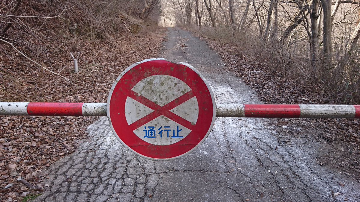 妙義荒船林道